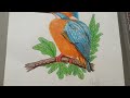 ||kingfisher bird drawing||kingfisher drawing||#hmart #kingfisherdrawing #drawing #art #artwork