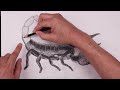 How To Draw a Scorpion | Sketch Tutorial